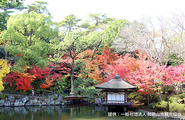 写真：紅葉渓庭園